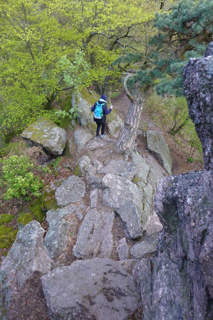 2017-04-23 Brněnský drak W021