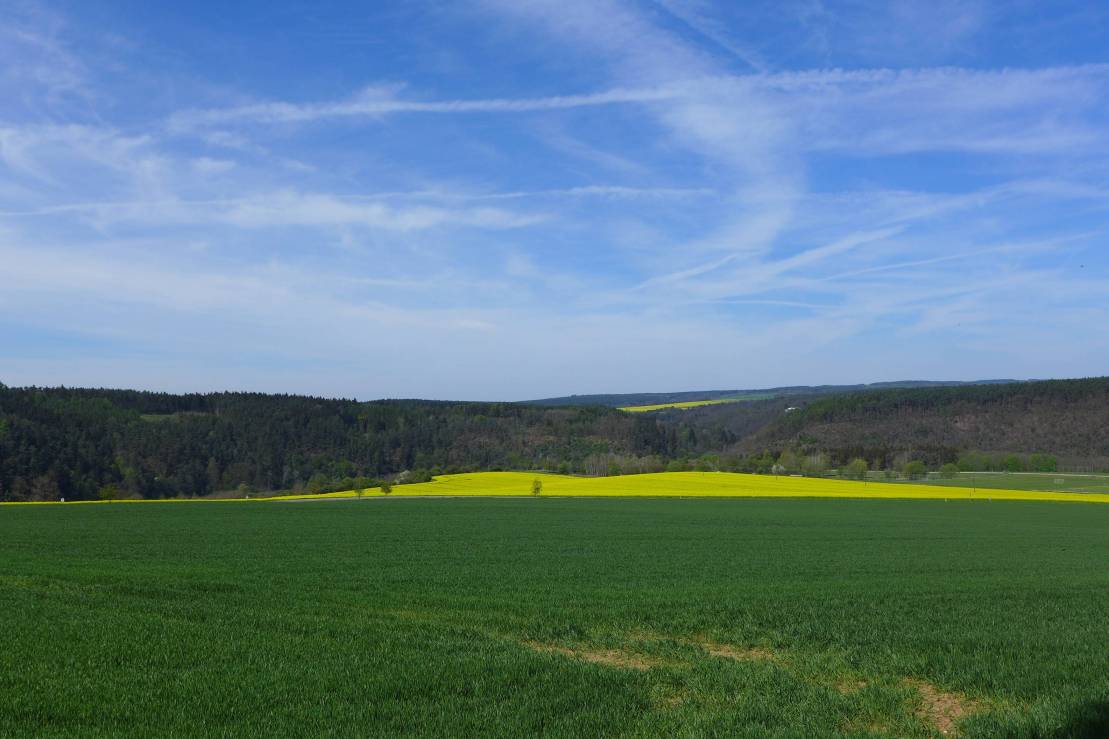 2017-05-11  Plzeňské resty  W017