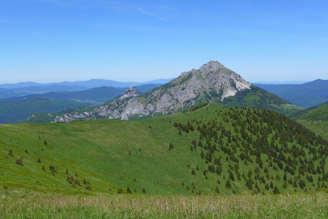 2017-06-01  Jánošíkovi zbojníci  W029