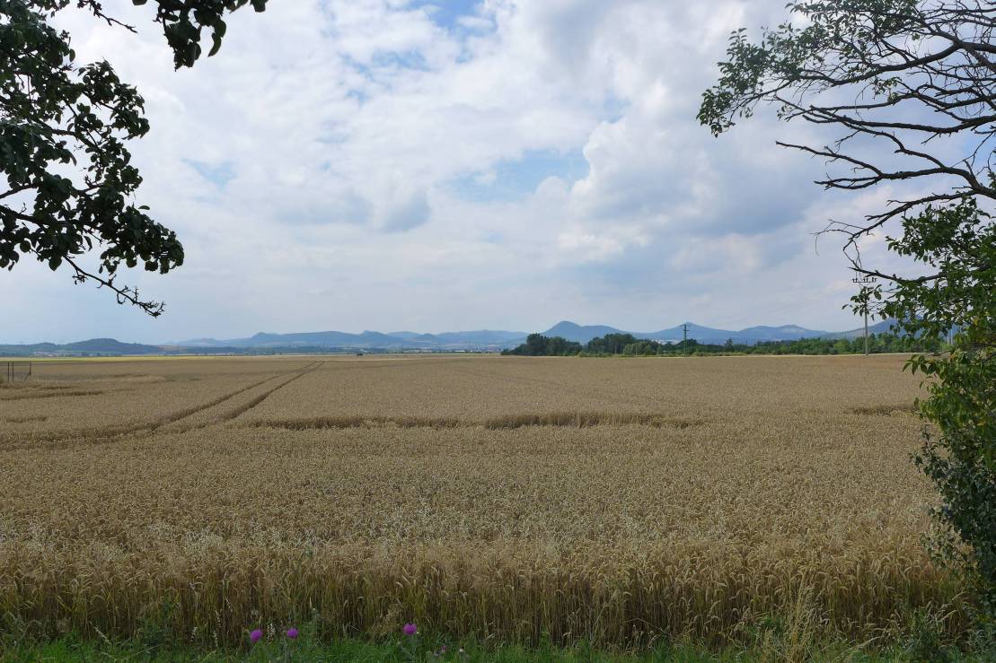 2017-07-08  Přes Braňany za Chobotem  W003