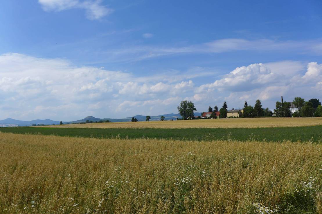 2017-07-08  Přes Braňany za Chobotem  W011