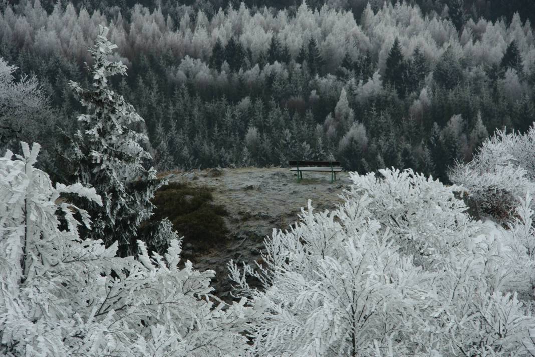 2018-01-13  Kocouří pánská jízda  W020a