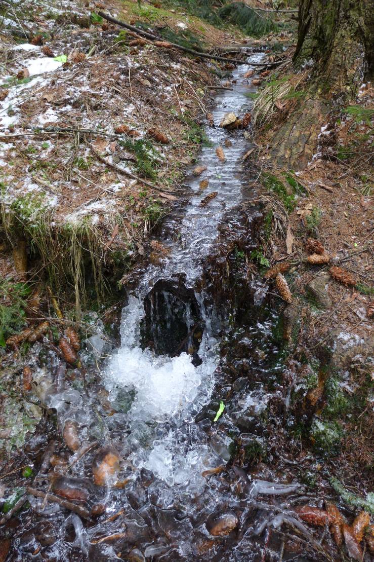 2018-02-07  Ještědská zima  W029