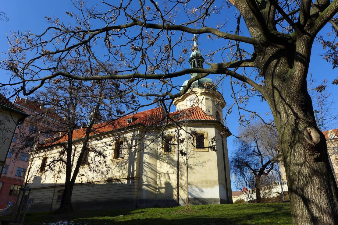 2018-02-16  Předjaří v Grébovce  W015