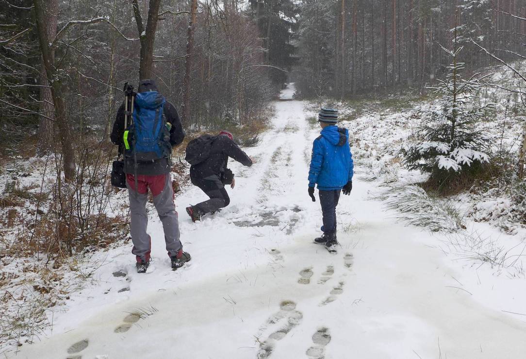 2018-03-06  Opožděné ledopády  W007