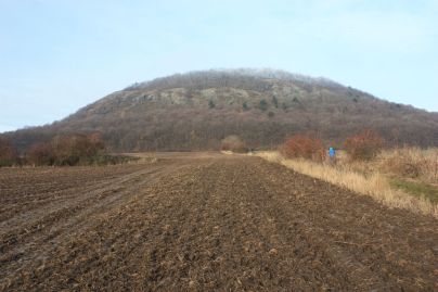 2012-12-29 Říp W003