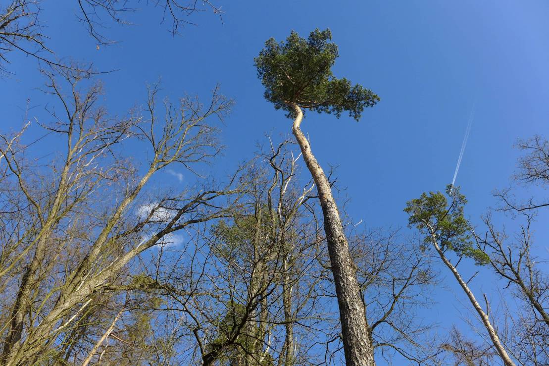 2018-04-04  Na Kožichu bez kožichu  W032