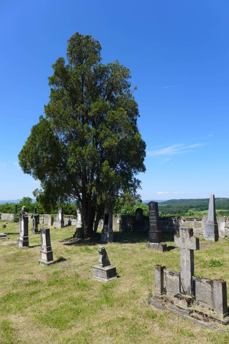 2018-05-13  Není mlýn jako mlýn  015