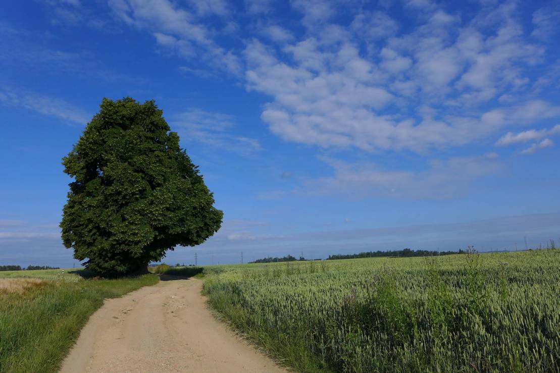 2018-06-19  Ježkovy voči  W002