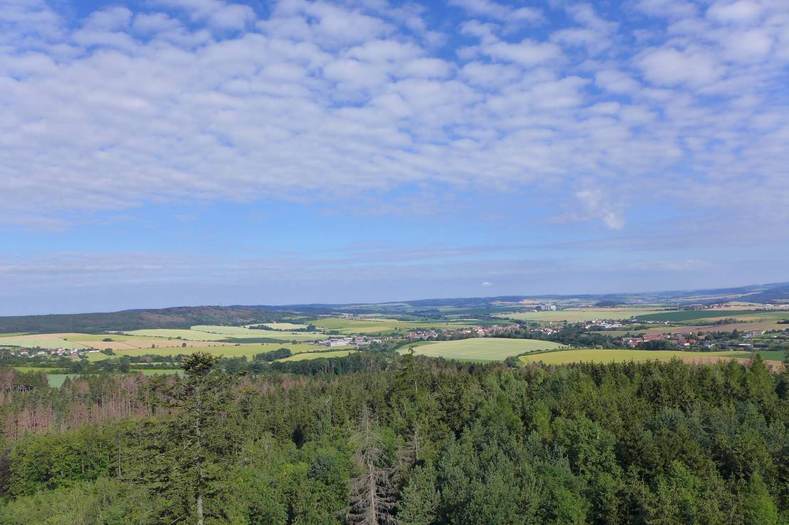 2018-06-19  Ježkovy voči  W006