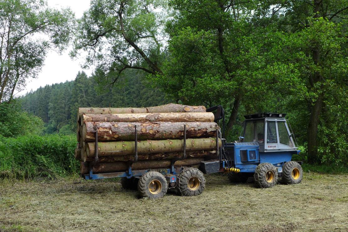 2018-06-20  Ježkovy voči  W010