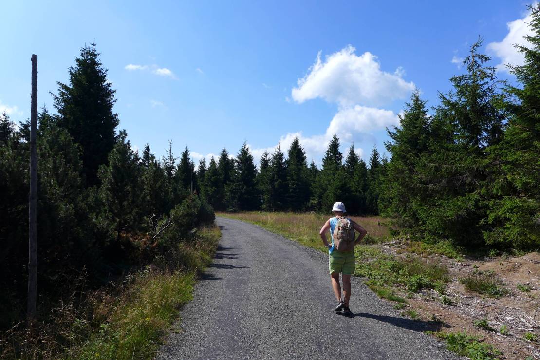 2018-07-15  Stříbrný orel  W001