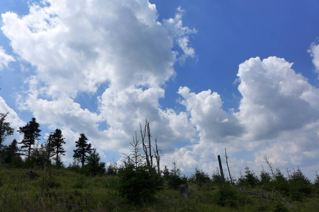 2018-07-15  Stříbrný orel  W005