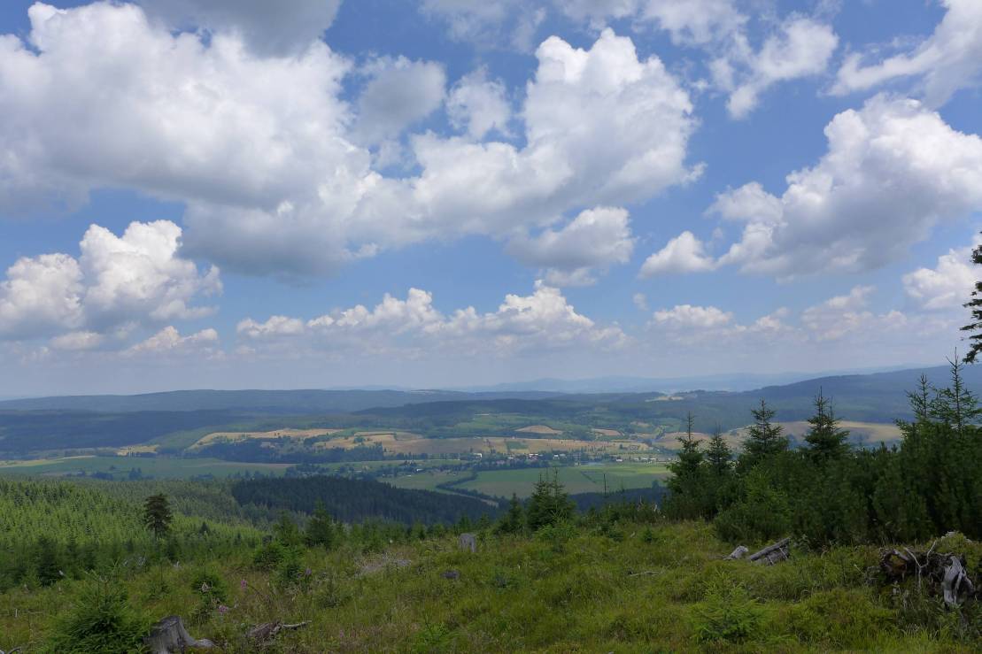 2018-07-15  Stříbrný orel  W006