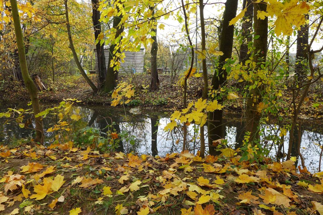 2018-11-04  Za Kujebákem do Mejta  W003