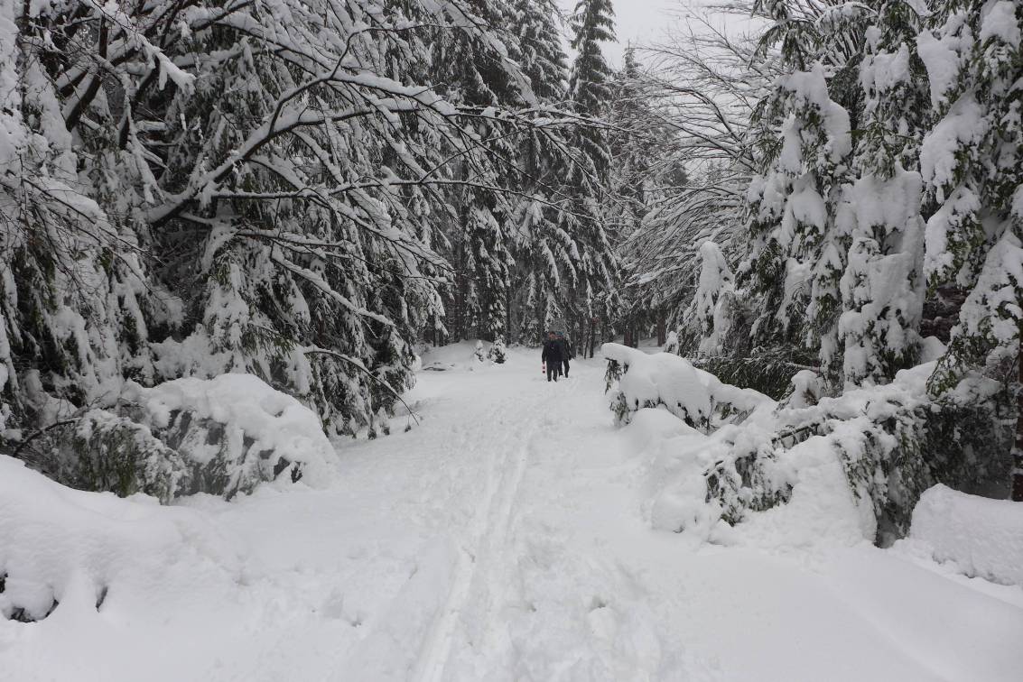 2019-01-12 Pánská jízda v závějích  W037