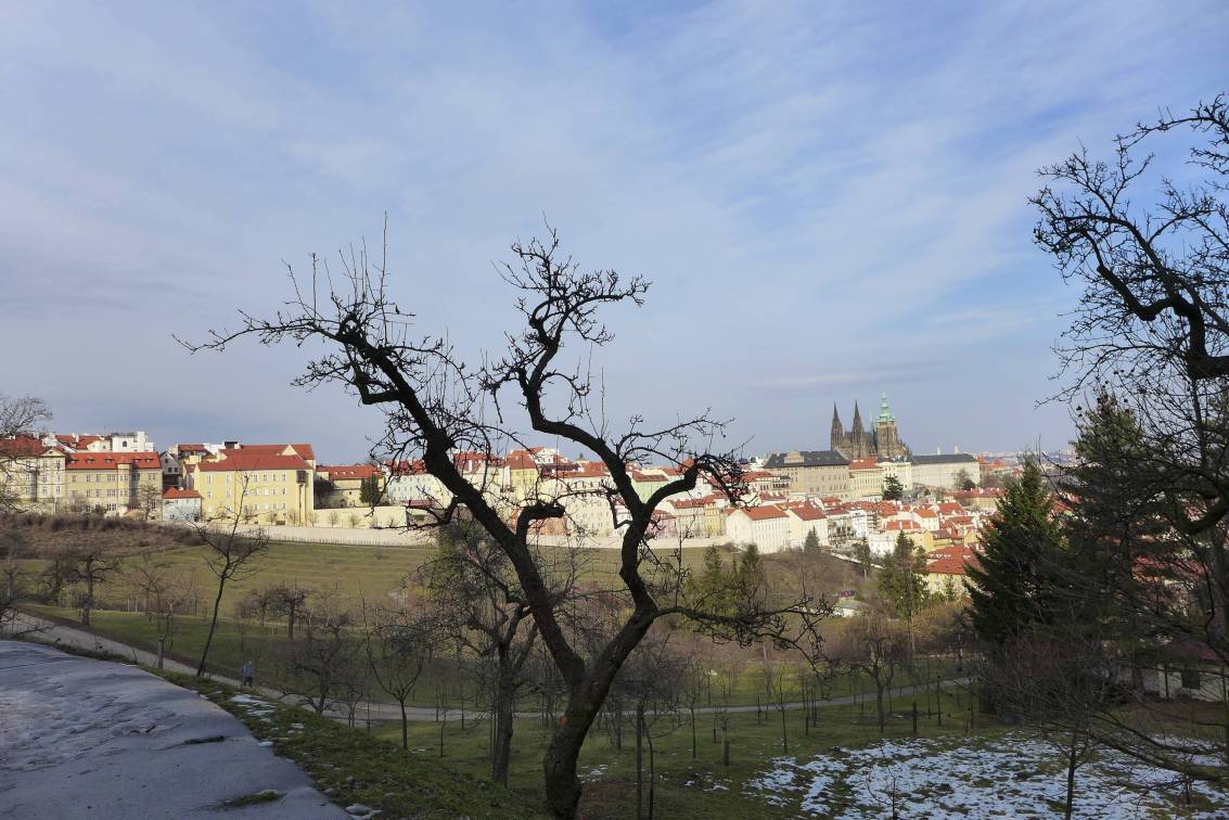 2019-02-19  Petřín  W015