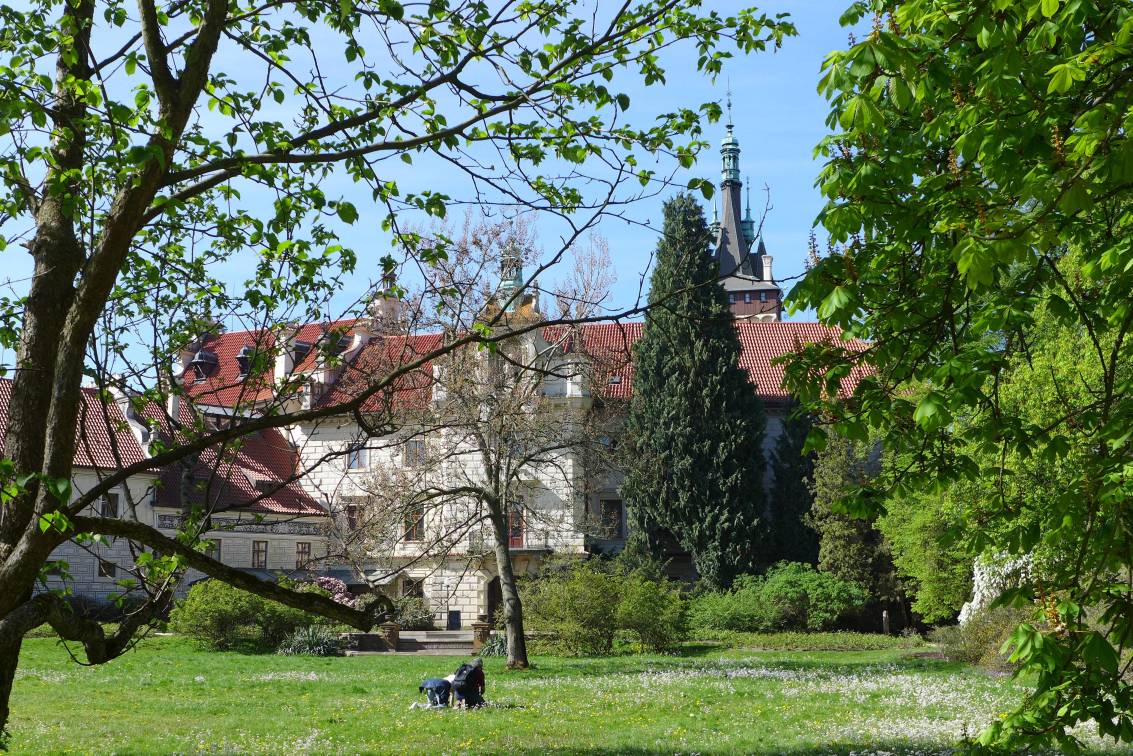 2019-04-25  Průhonické skalničky  W002