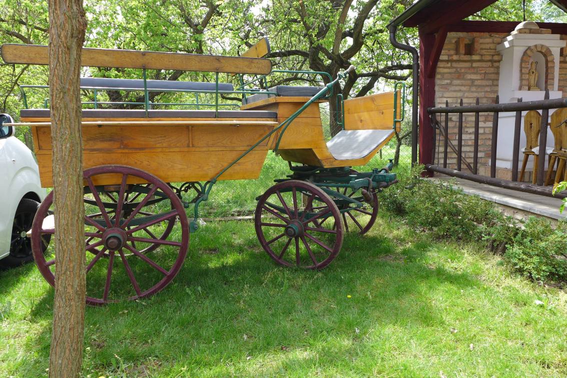 2019-04-28  Víno s Pelikánem  W012