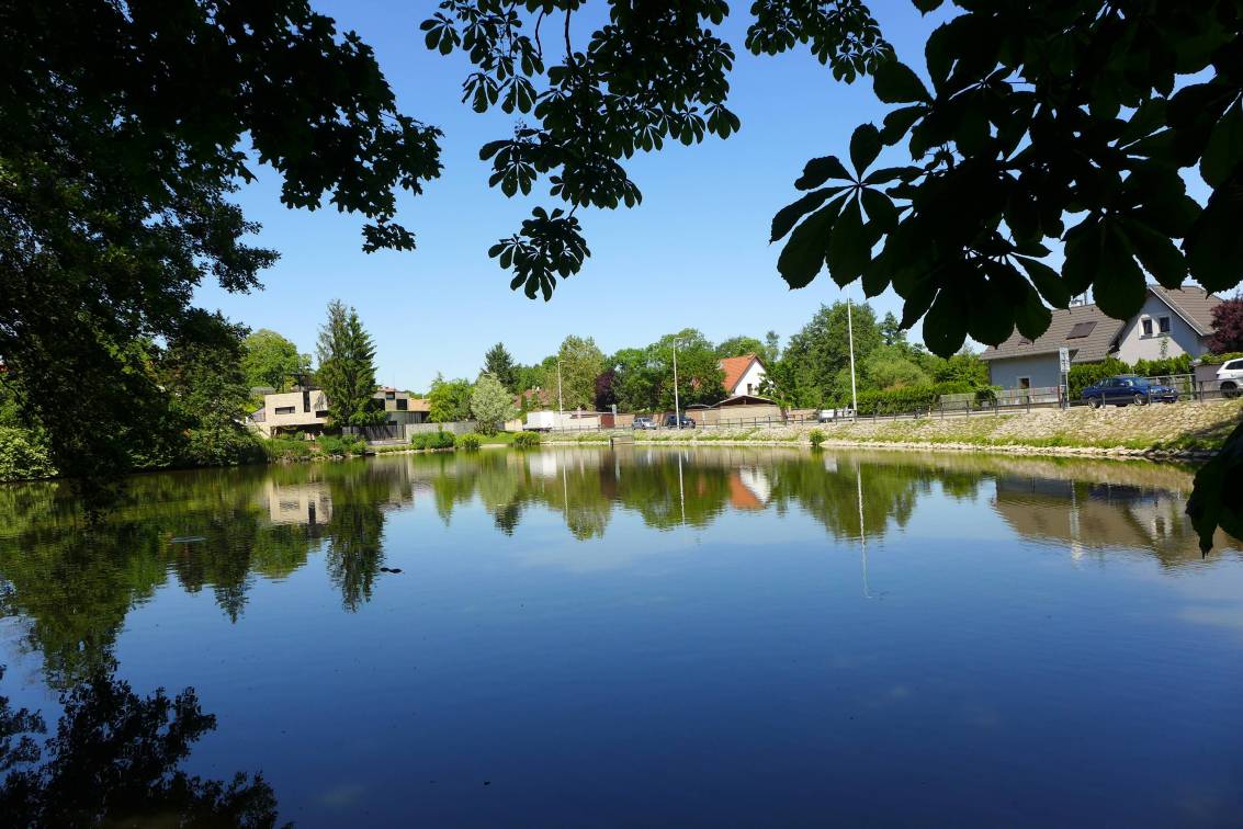 2019-06-03  Vinořský park  W016