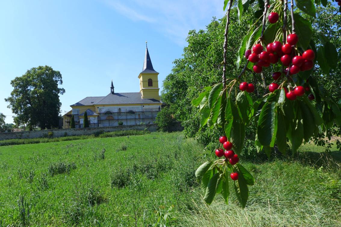 2019-06-17  Po stopách bitvy u Kolína  W013