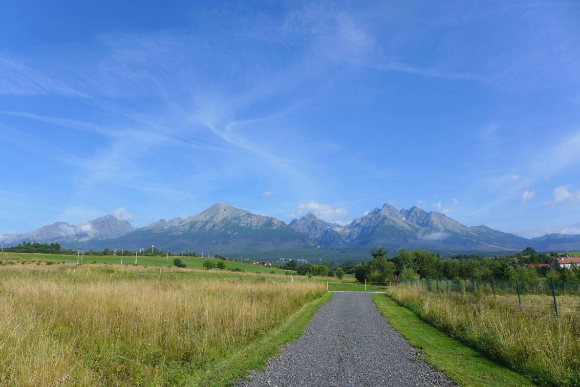 2019-08-06  Tatranští svišti  W001