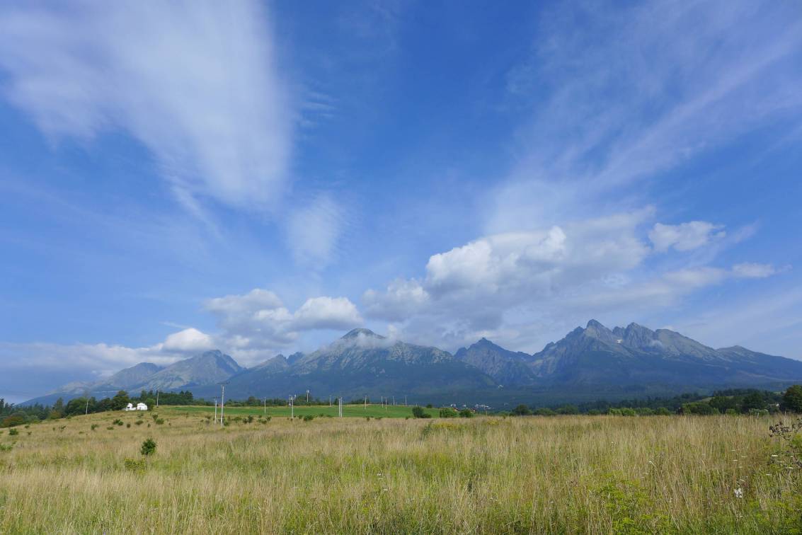 2019-08-07  Tatranští svišti  W001