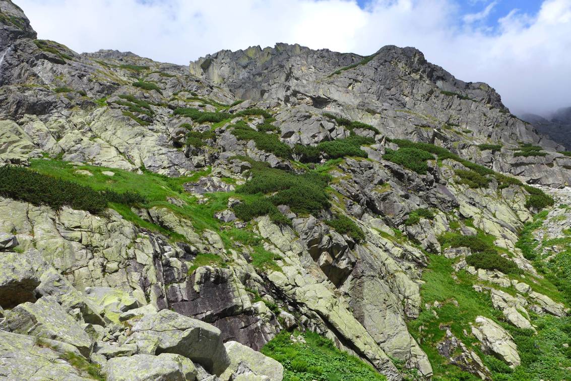 2019-08-08  Tatranští svišti  W030