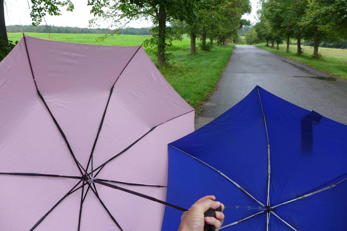 2019-09-07  Za Čapky na Strži  W003