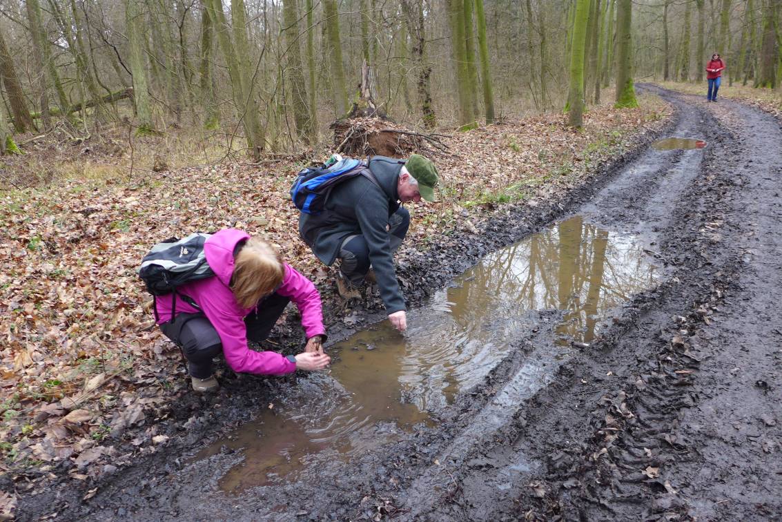 2019-12-27  Čepice pro Vojtěcha  W014