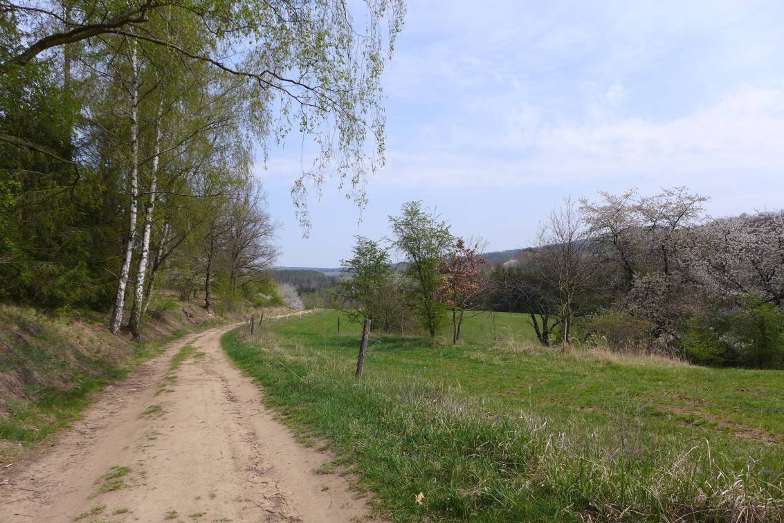2020-04-18  Nebílovský okruh  W006