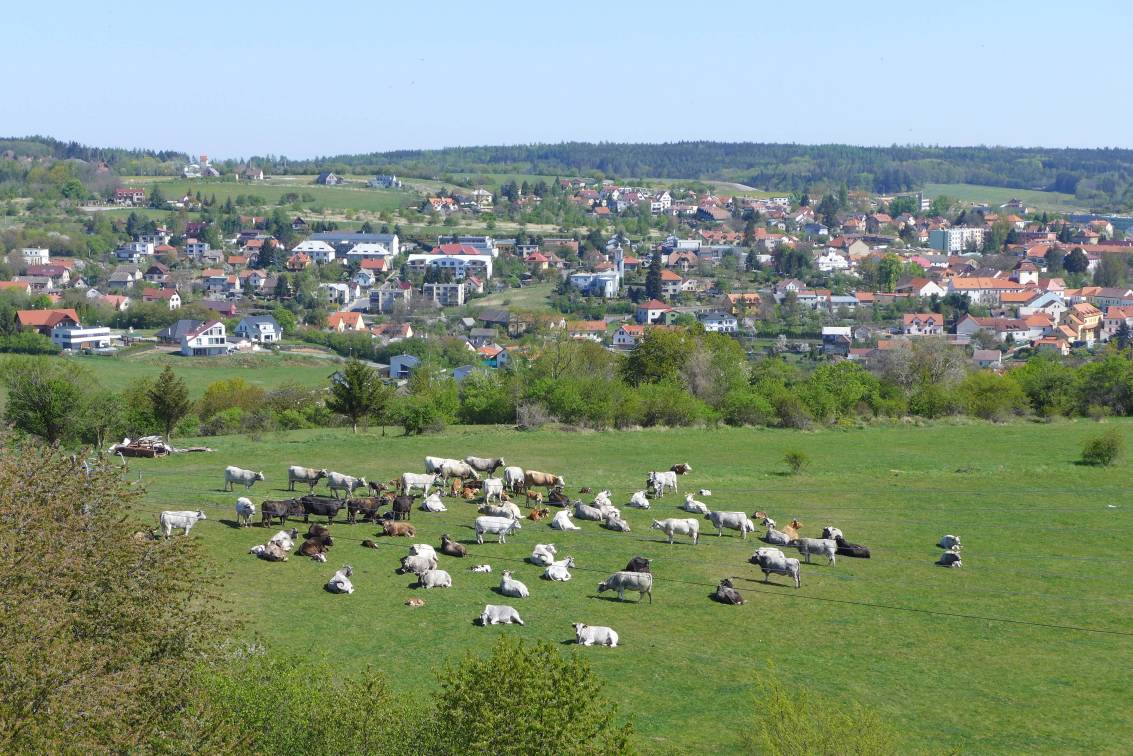 2020-04-27  Opepřené jaro  W014