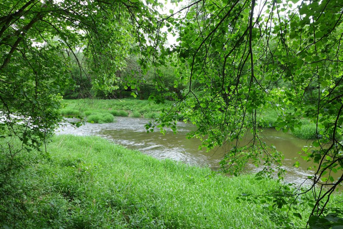 2020-05-22  Stříbrná zátoka  W058