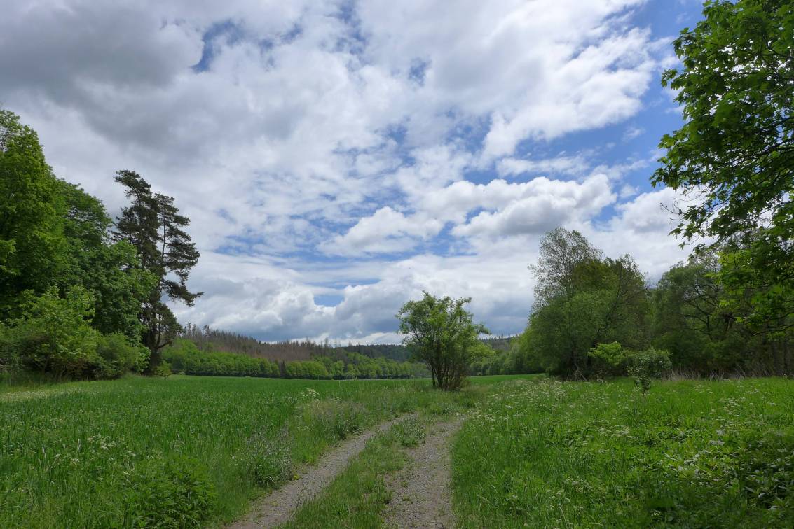 2020-05-22  Stříbrná zátoka  W060