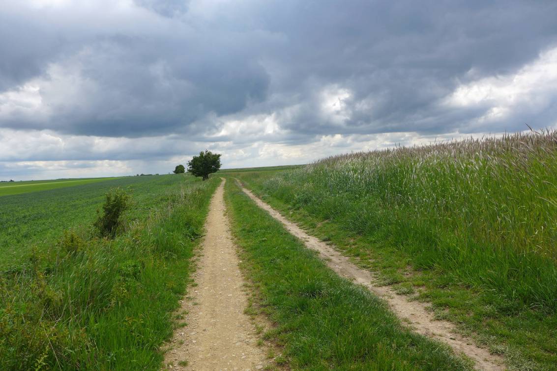 2020-05-22  Stříbrná zátoka  W075