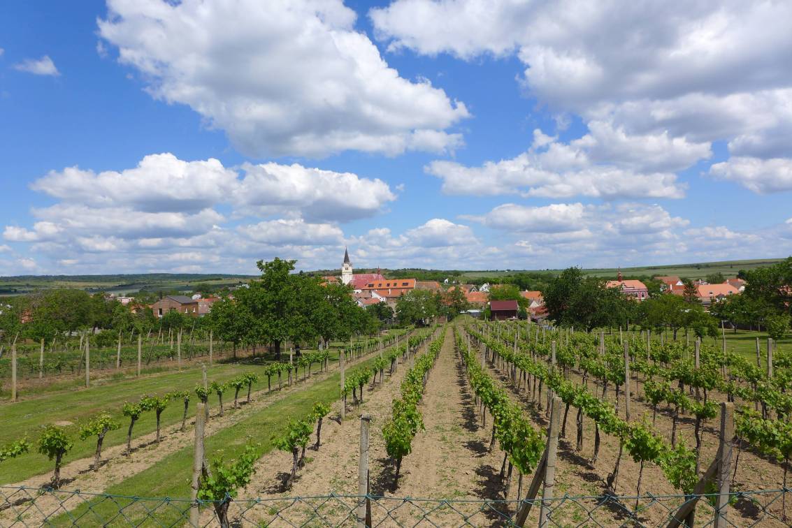 2020-05-22  Stříbrná zátoka  W096