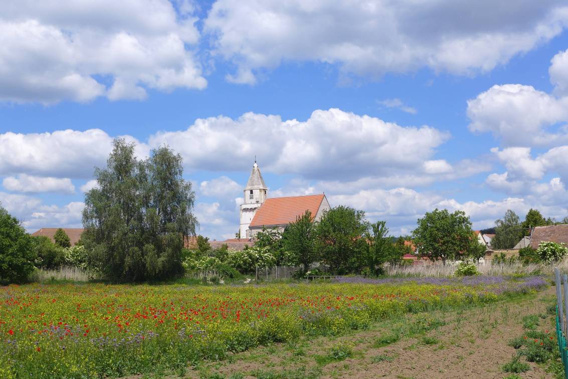 2020-05-22  Stříbrná zátoka  W099