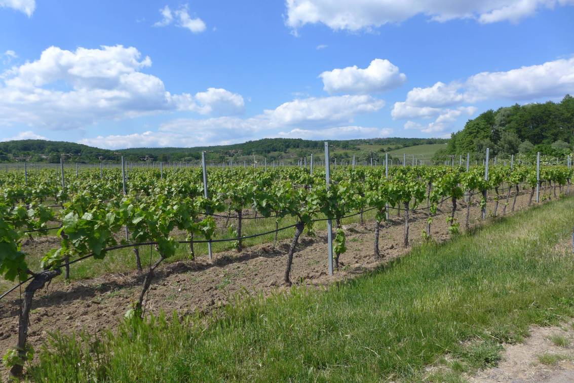 2020-05-22  Stříbrná zátoka  W108