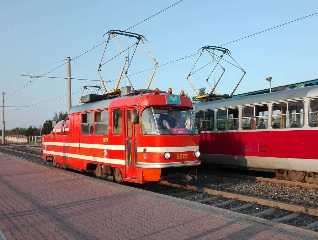 2020-06-13  Přes rašeliniště za vlkem  W001