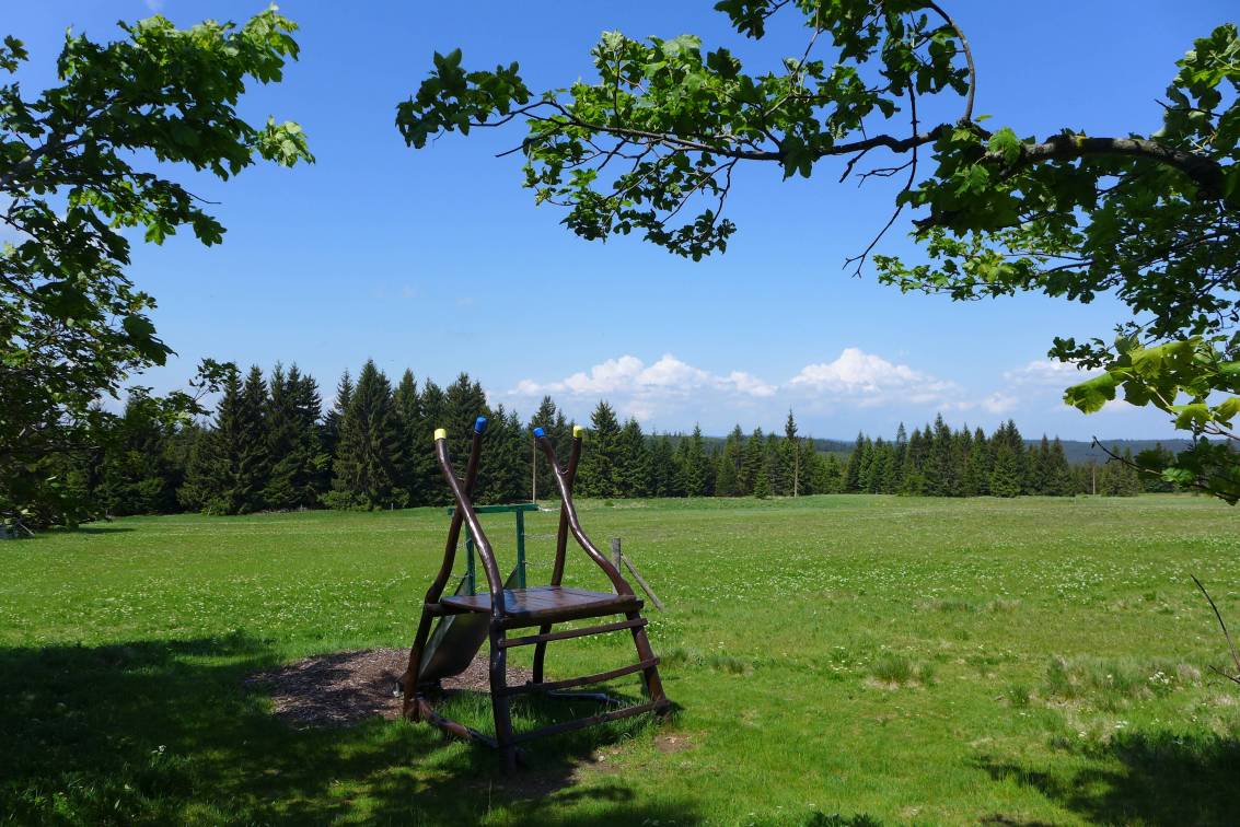 2020-06-13  Přes rašeliniště za vlkem  W017