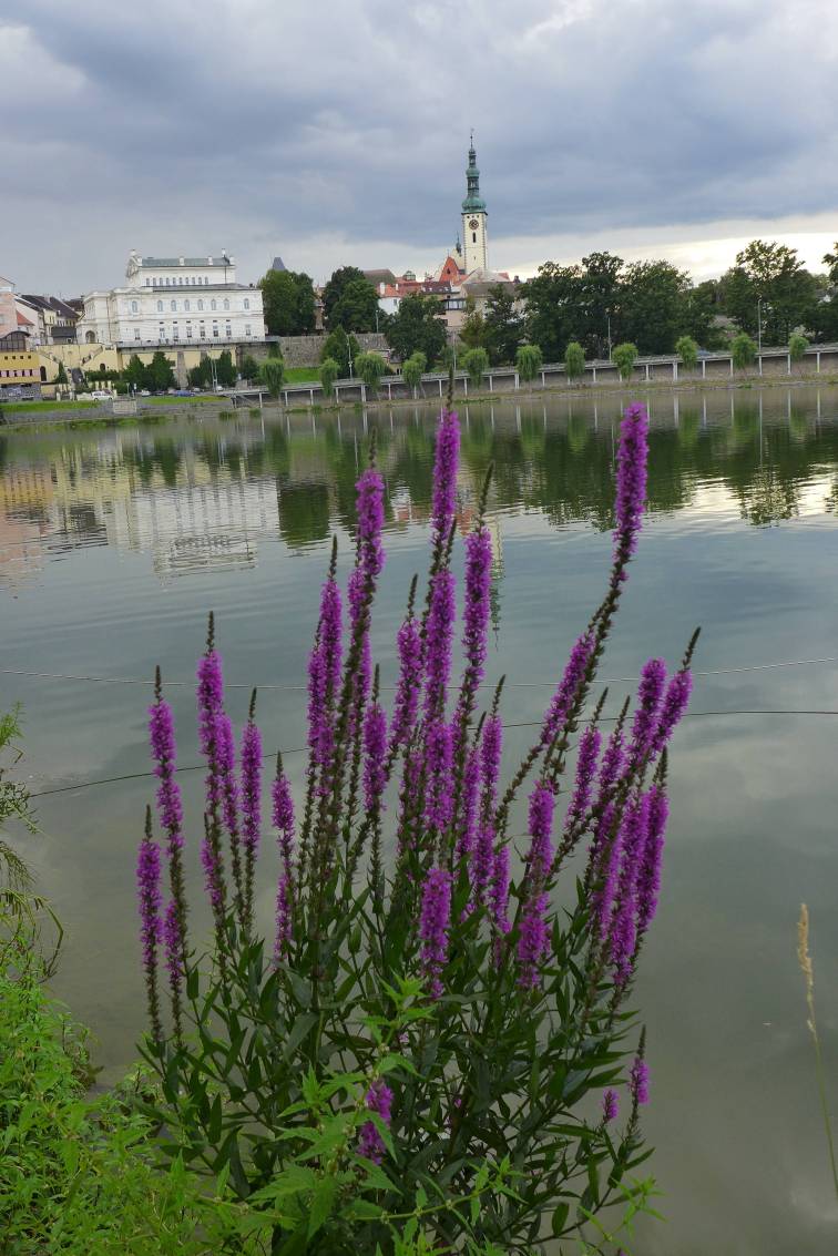 2020-07-25  Táborsko   W026