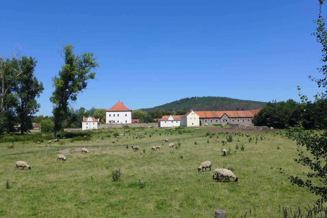 2020-07-31  Sedlčansko   W020