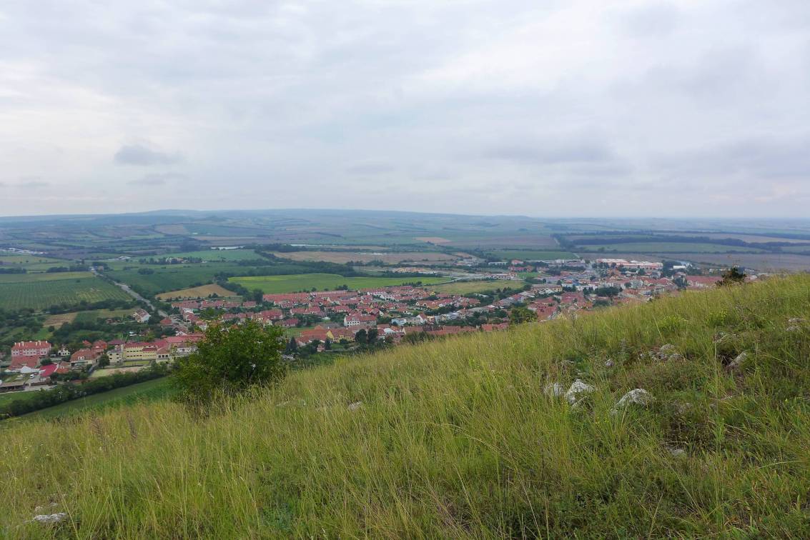 2020-08-15  Pálavský ráj  W009