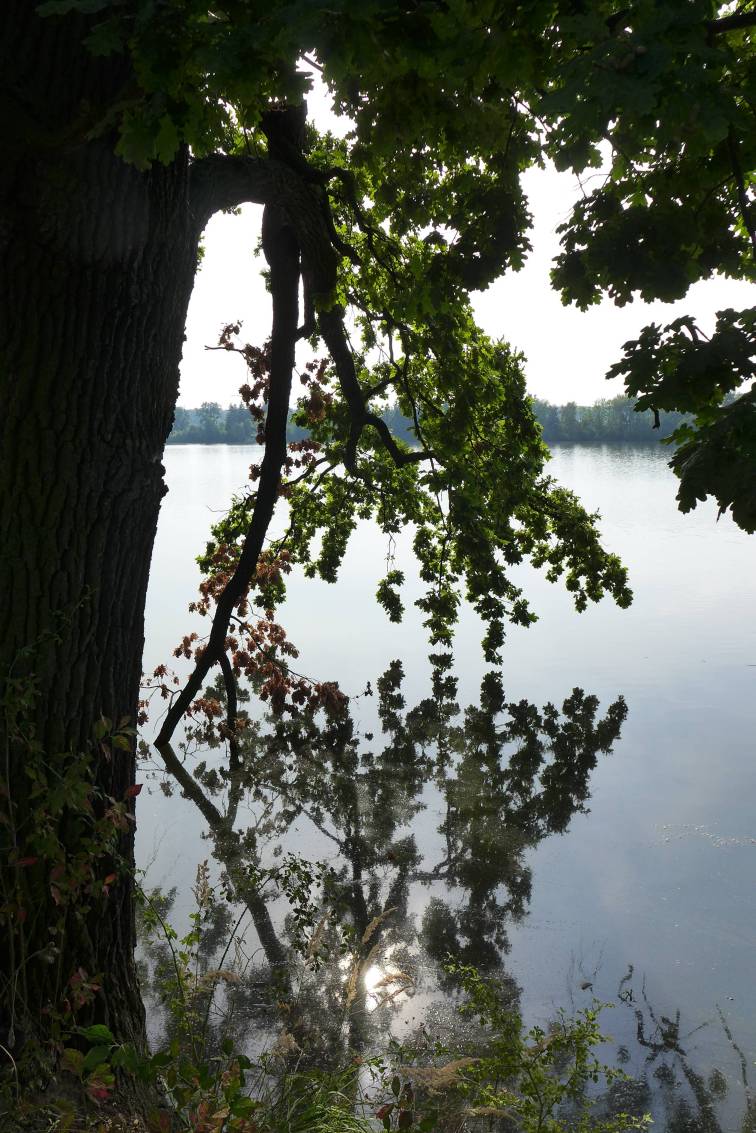 2020-09-23  Kolem pražských rybníků  010