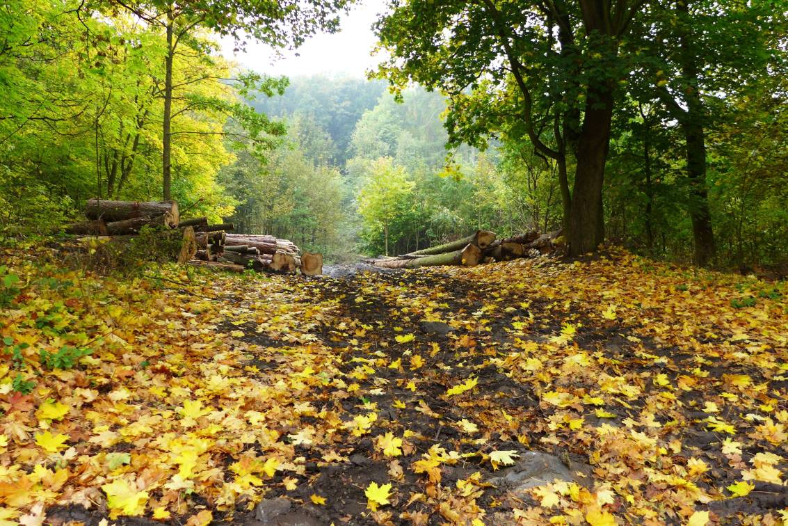 2020-10-21  Podél Ohře na Šumburk  W055