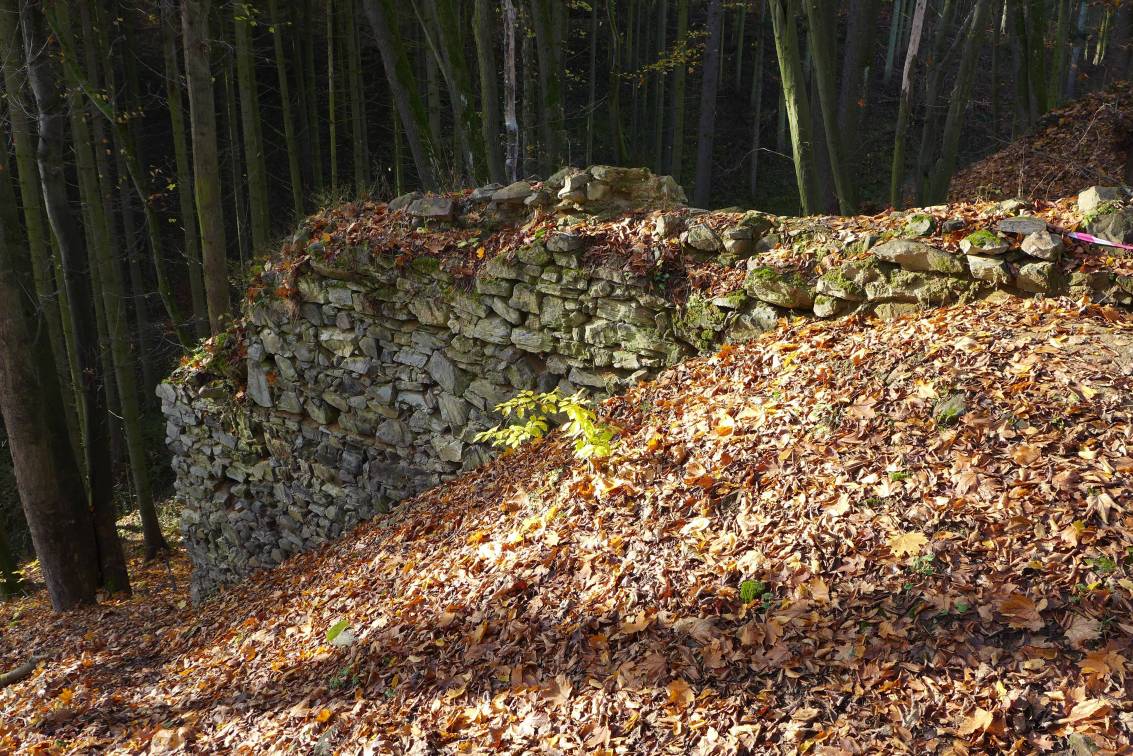 2020-11-14  Posázavské hrady  W016
