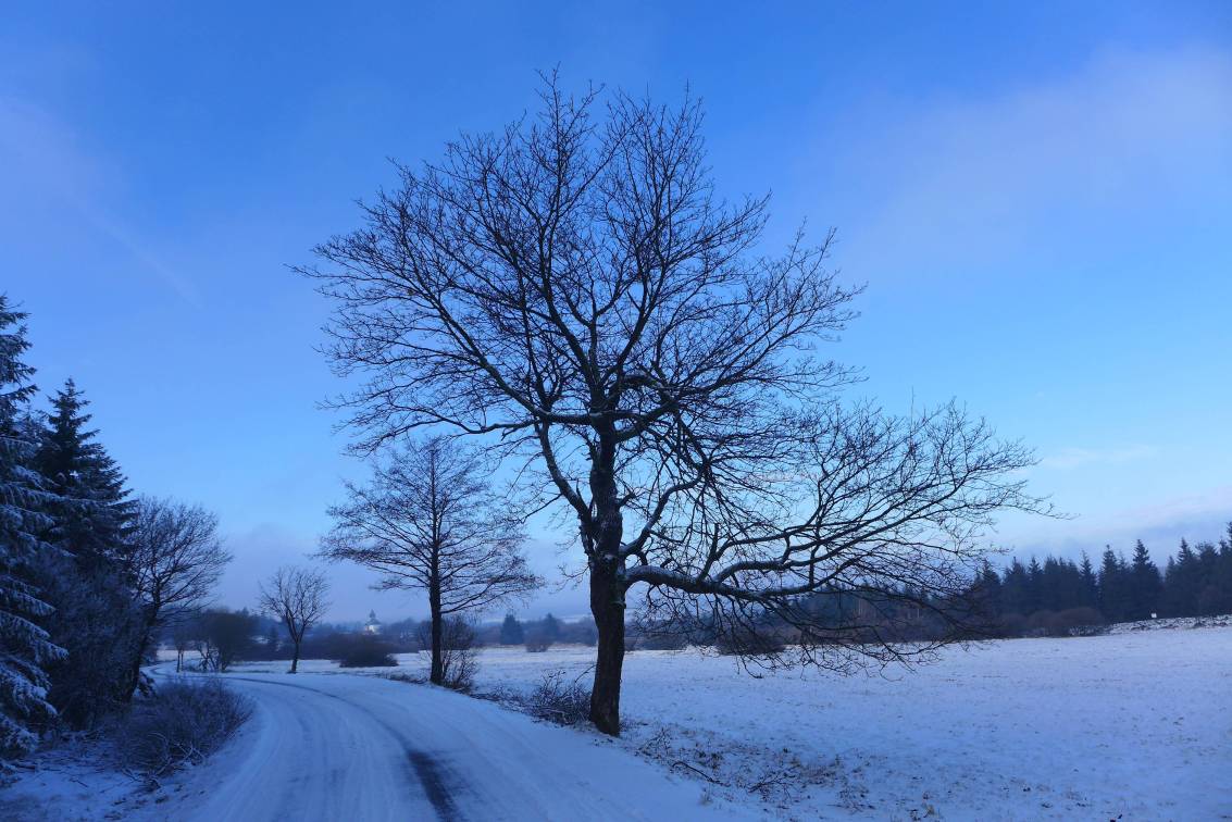 2020-12-05  Sněhem na Komárku   W008