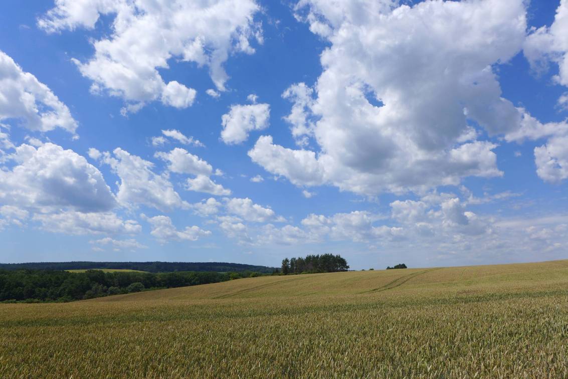 2020-07-10  Za skřítkem Frymbulínem  W007