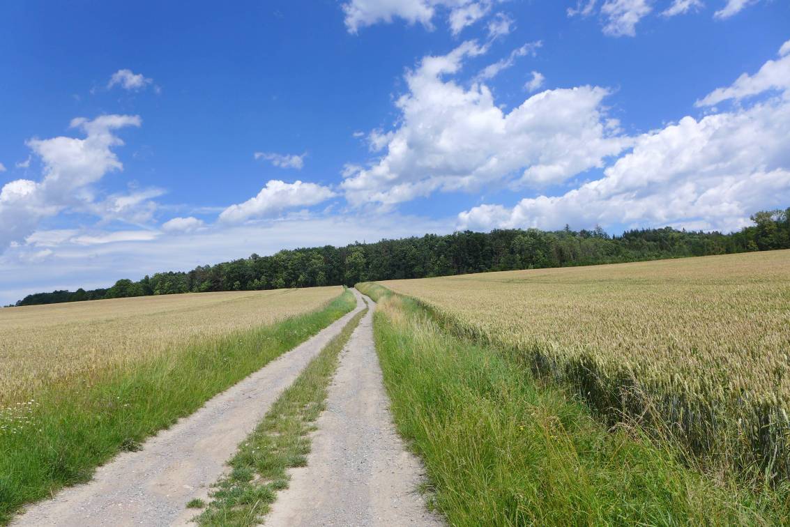 2020-07-10  Za skřítkem Frymbulínem  W008