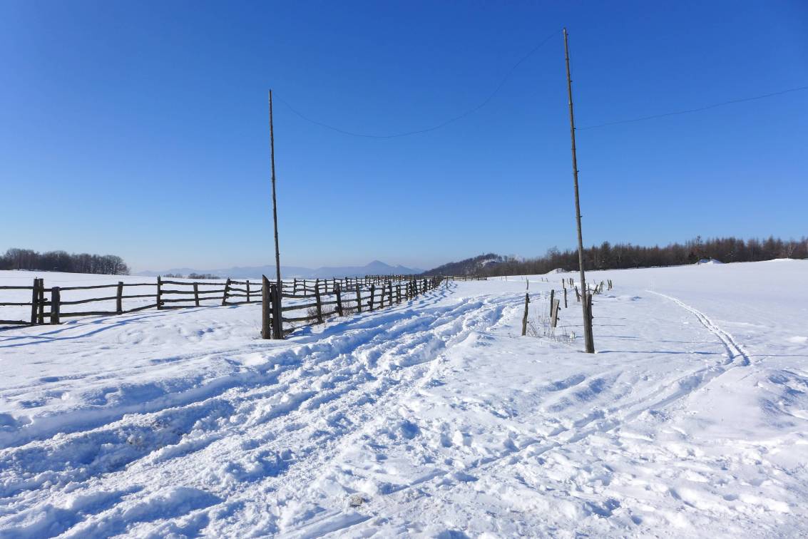 2021-01-31  Za ledovou Kočkou  W025